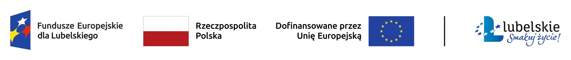 FEL logotyp kolor poziom result